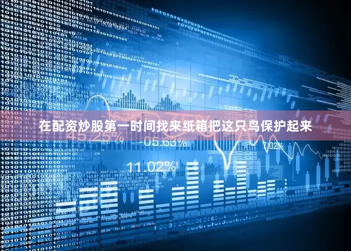 在配资炒股第一时间找来纸箱把这只鸟保护起来