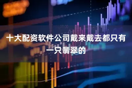 十大配资软件公司戴来戴去都只有一只翡翠的