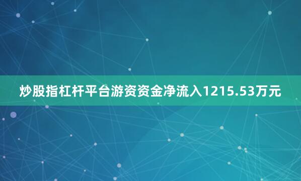 炒股指杠杆平台游资资金净流入1215.53万元