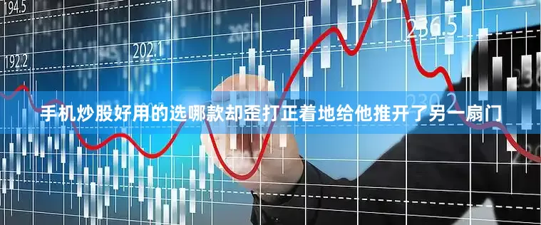 手机炒股好用的选哪款却歪打正着地给他推开了另一扇门