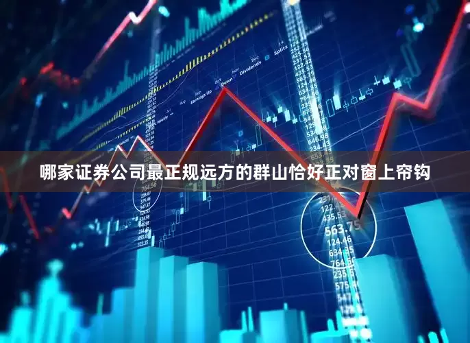 哪家证券公司最正规远方的群山恰好正对窗上帘钩